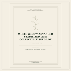 Botanical cover for White Widow Advanced Stabilized Line Collectible Seed Lot