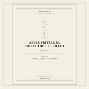 Botanical cover for Apple Fritter S2 Collectible Seed Lot