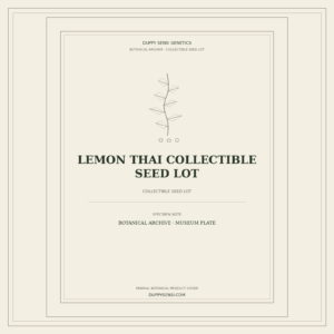 Botanical cover for Lemon Thai Collectible Seed Lot