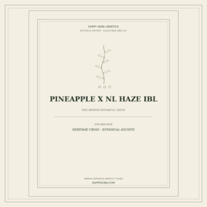 Botanical cover for Pineapple x NL Haze IBL