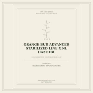 Botanical cover for Orange Bud Advanced Stabilized Line x NL Haze IBL
