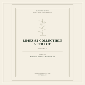 Botanical cover for Limez S2 Collectible Seed Lot