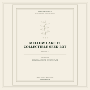 Botanical cover for Mellow Cake F1 Collectible Seed Lot