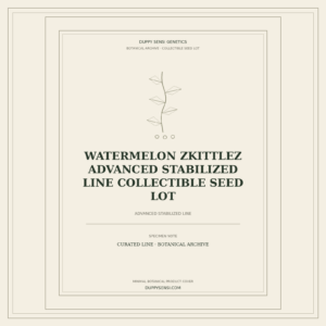 Botanical cover for Watermelon Zkittlez Advanced Stabilized Line Collectible Seed Lot
