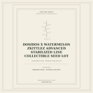 Botanical cover for Dosidos x Watermelon Zkittlez Advanced Stabilized Line Collectible Seed Lot