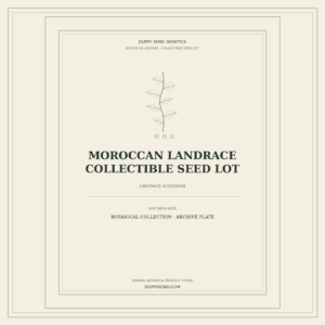 Botanical cover for Moroccan Landrace Collectible Seed Lot
