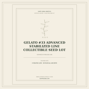 Botanical cover for Gelato #33 Advanced Stabilized Line Collectible Seed Lot