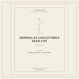 Botanical cover for Mimosa S3 Collectible Seed Lot