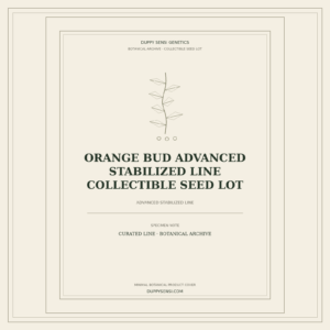 Botanical cover for Orange Bud Advanced Stabilized Line Collectible Seed Lot